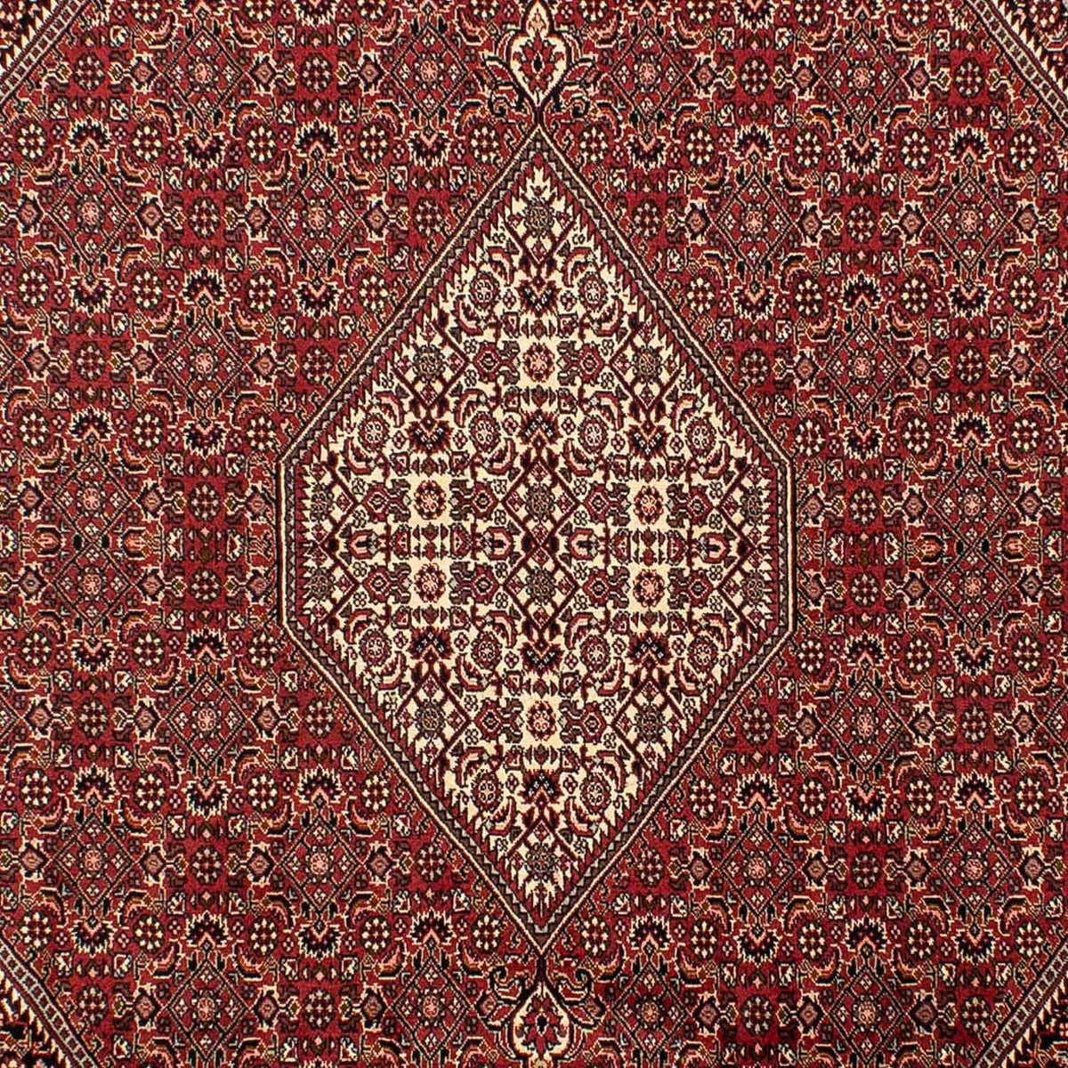 Tapis persan - Bidjar - 304 x 200 cm - marron