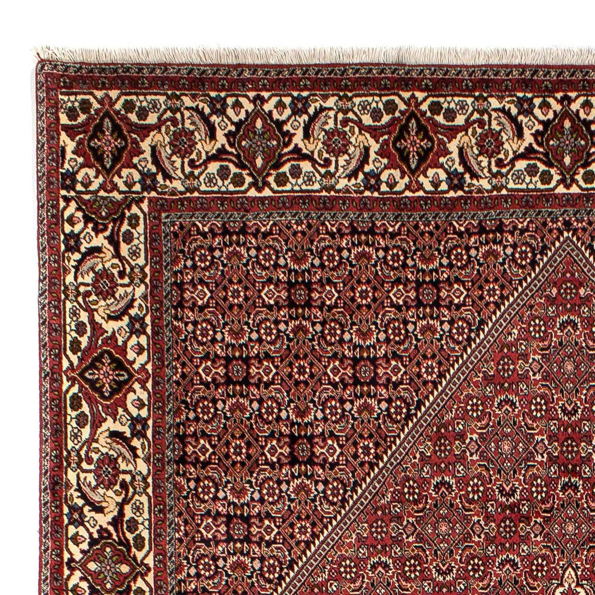 Tapis persan - Bidjar - 304 x 200 cm - marron