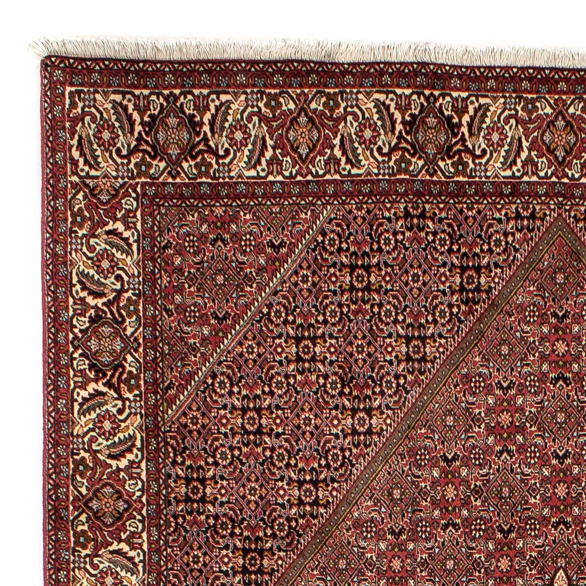 Tapis persan - Bidjar - 305 x 202 cm - marron