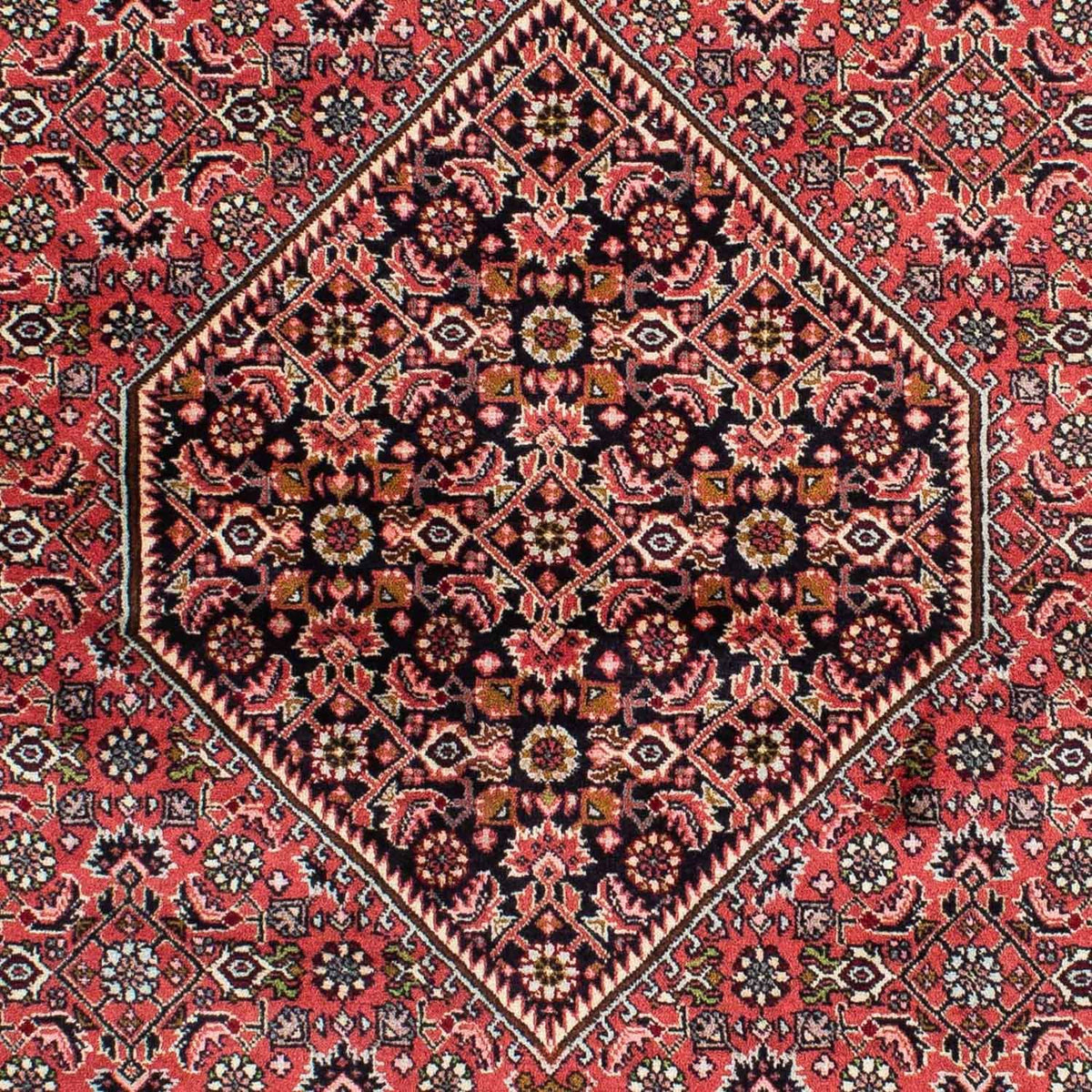 Tapis persan - Bidjar - 222 x 142 cm - rouge