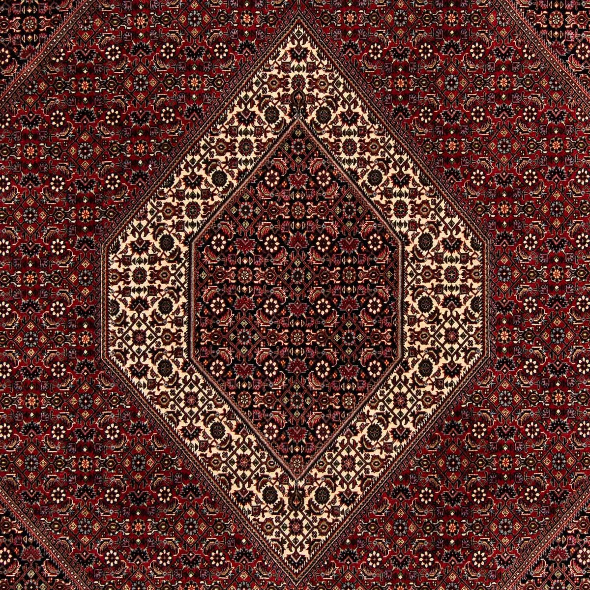 Tapis persan - Bidjar - 263 x 203 cm - rouge foncé