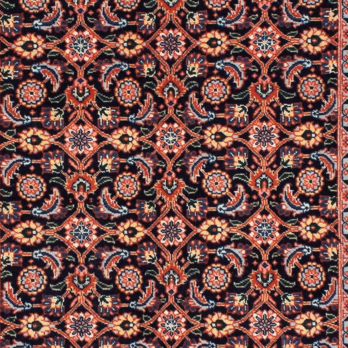 Tapis de couloir Tapis persan - Tabriz - 200 x 63 cm - multicolore