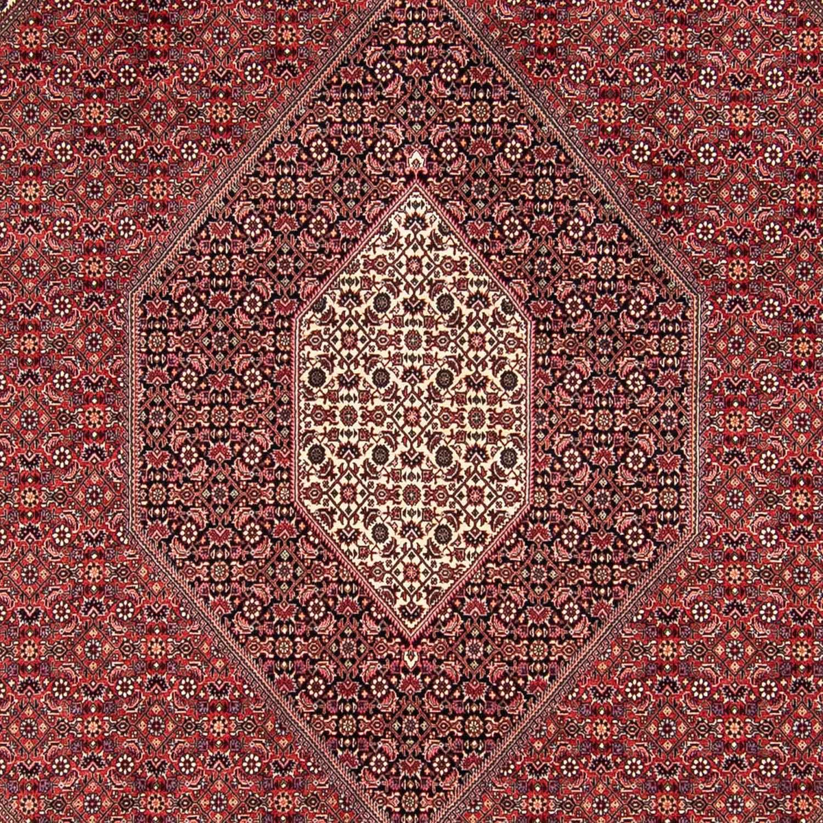 Tapis persan - Bidjar - 295 x 251 cm - rouge foncé