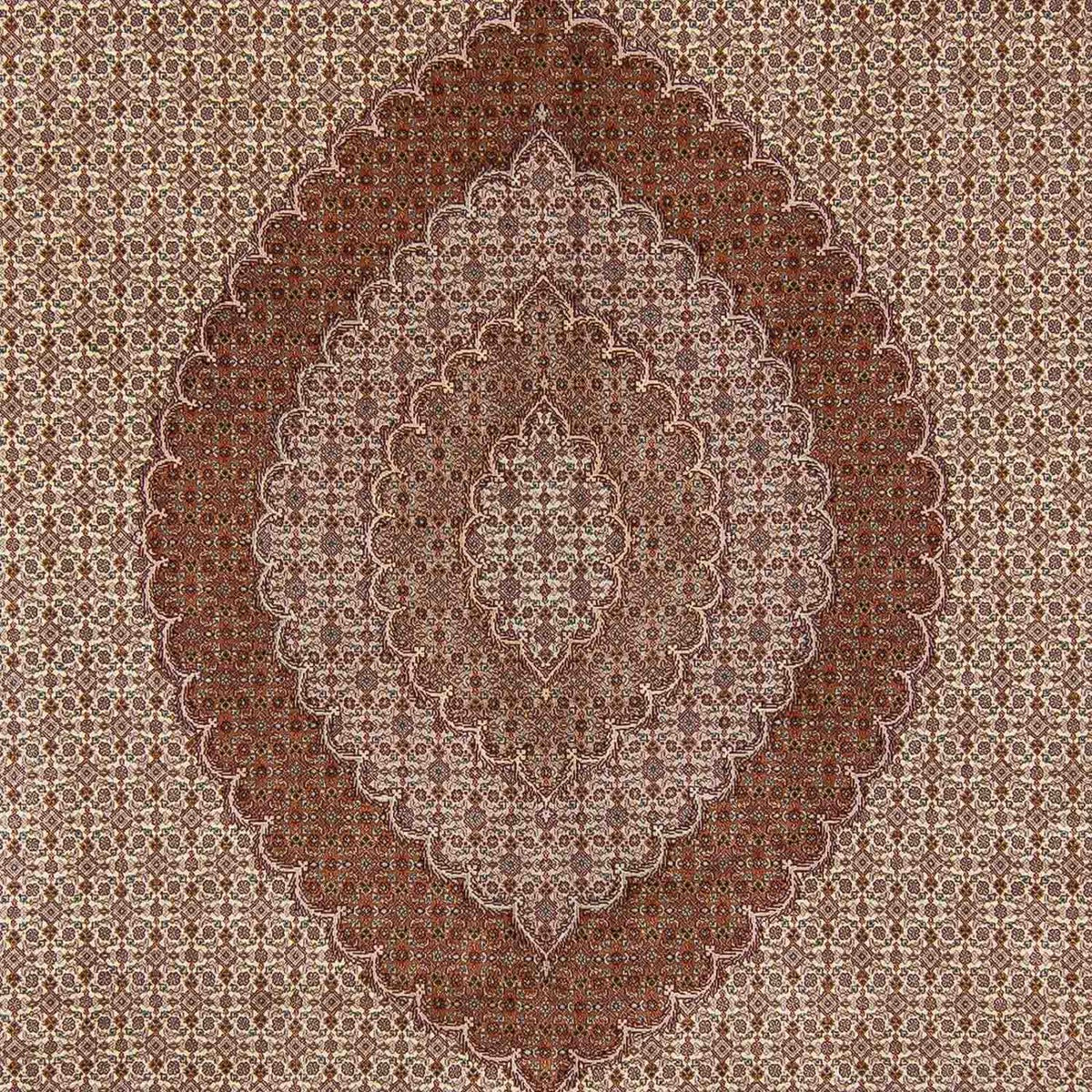 Tapis persan - Tabriz - 350 x 254 cm - marron