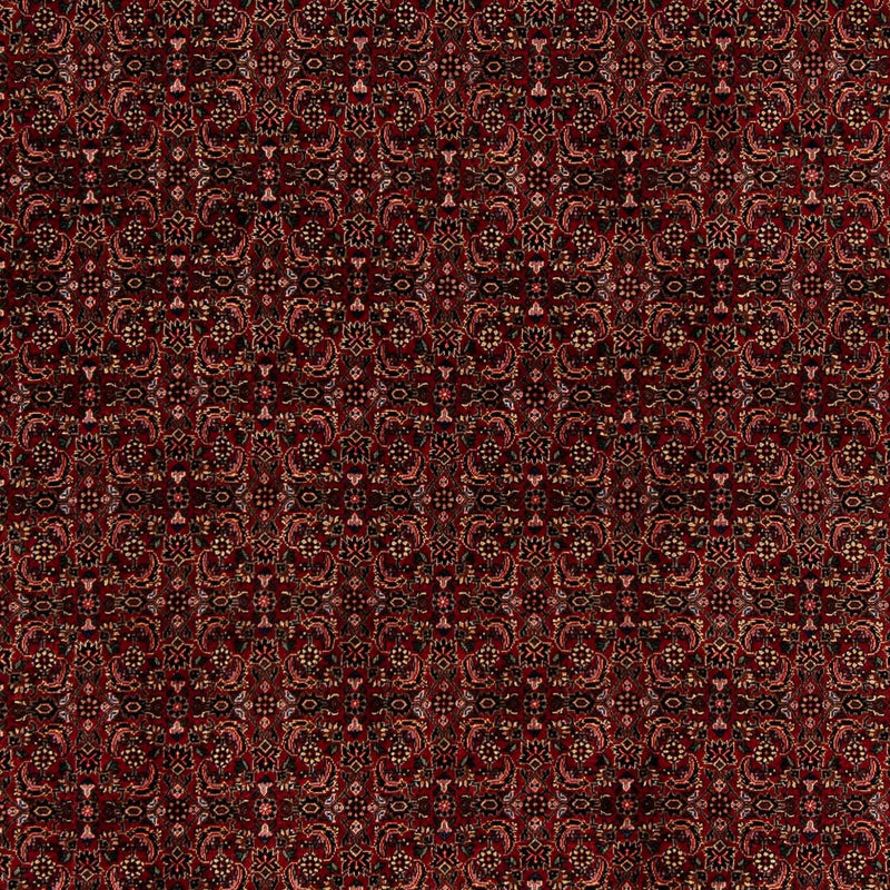 Tapis persan - Bidjar - 249 x 202 cm - rouge foncé