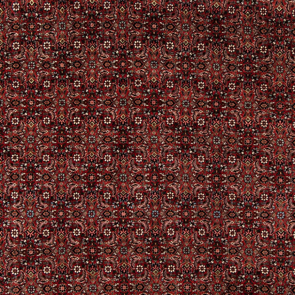 Tapis persan - Bidjar - 242 x 202 cm - rouge foncé