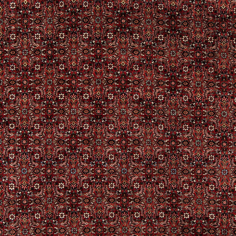 Tapis persan - Bidjar - 242 x 202 cm - rouge foncé