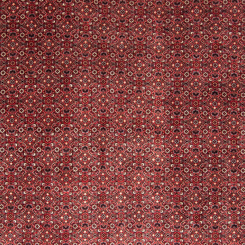 Tapis persan - Bidjar - 338 x 258 cm - rouge