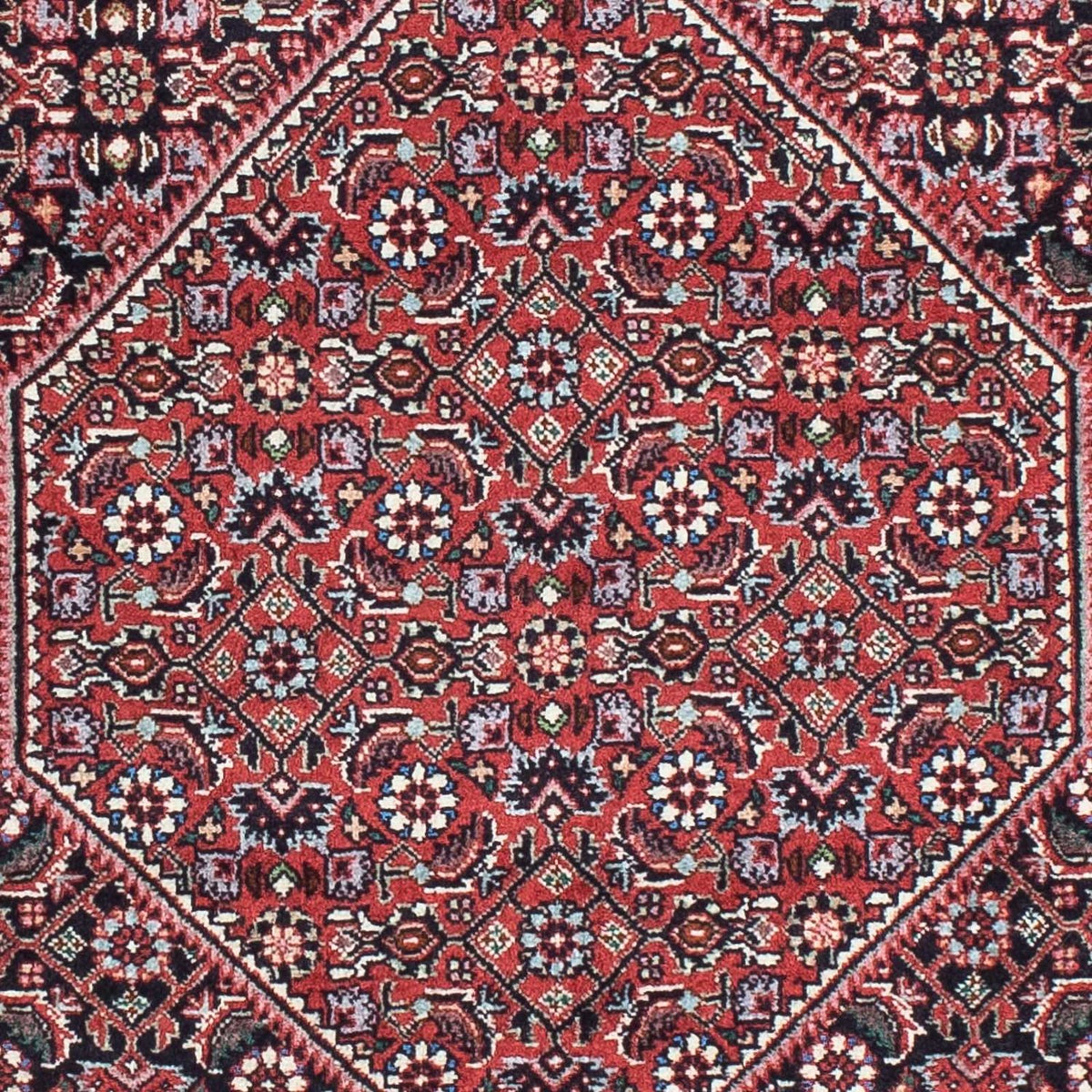 Tapis de couloir Tapis persan - Bidjar - 197 x 72 cm - rouge