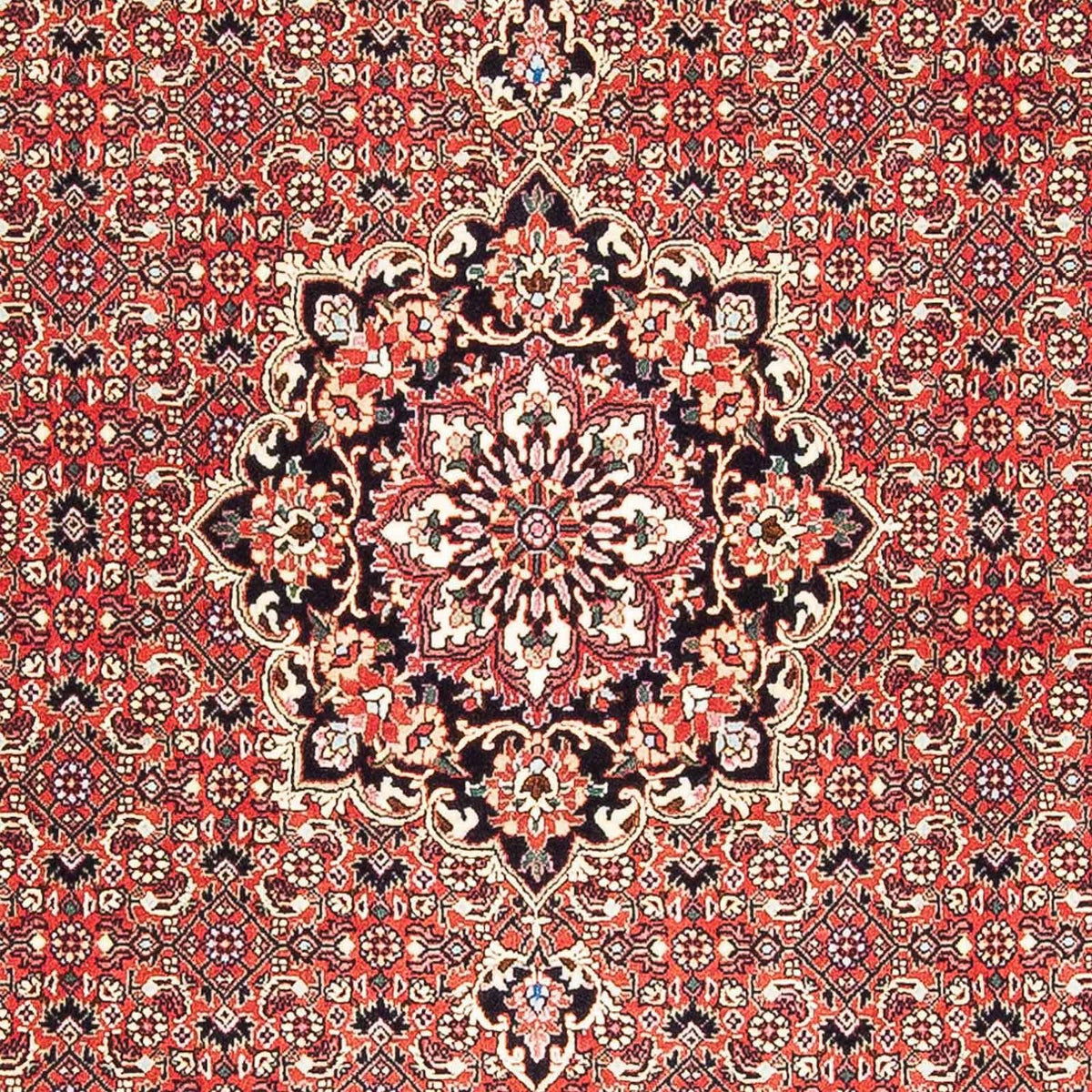 Tapis persan - Bidjar - 182 x 110 cm - rouge