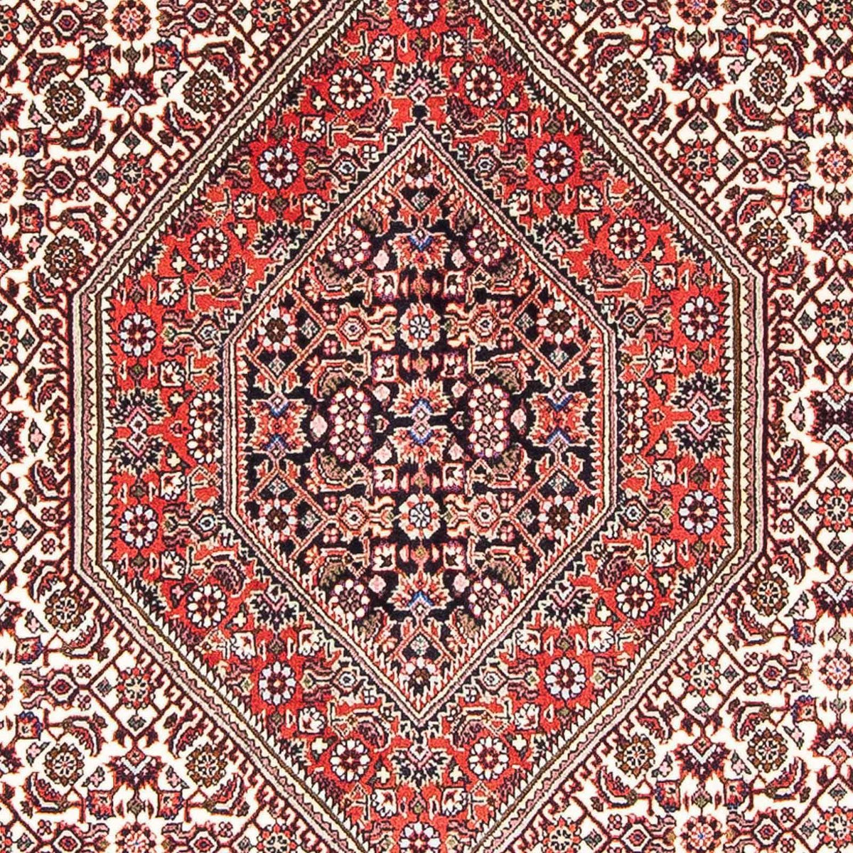 Tapis persan - Bidjar - 173 x 107 cm - rouge clair