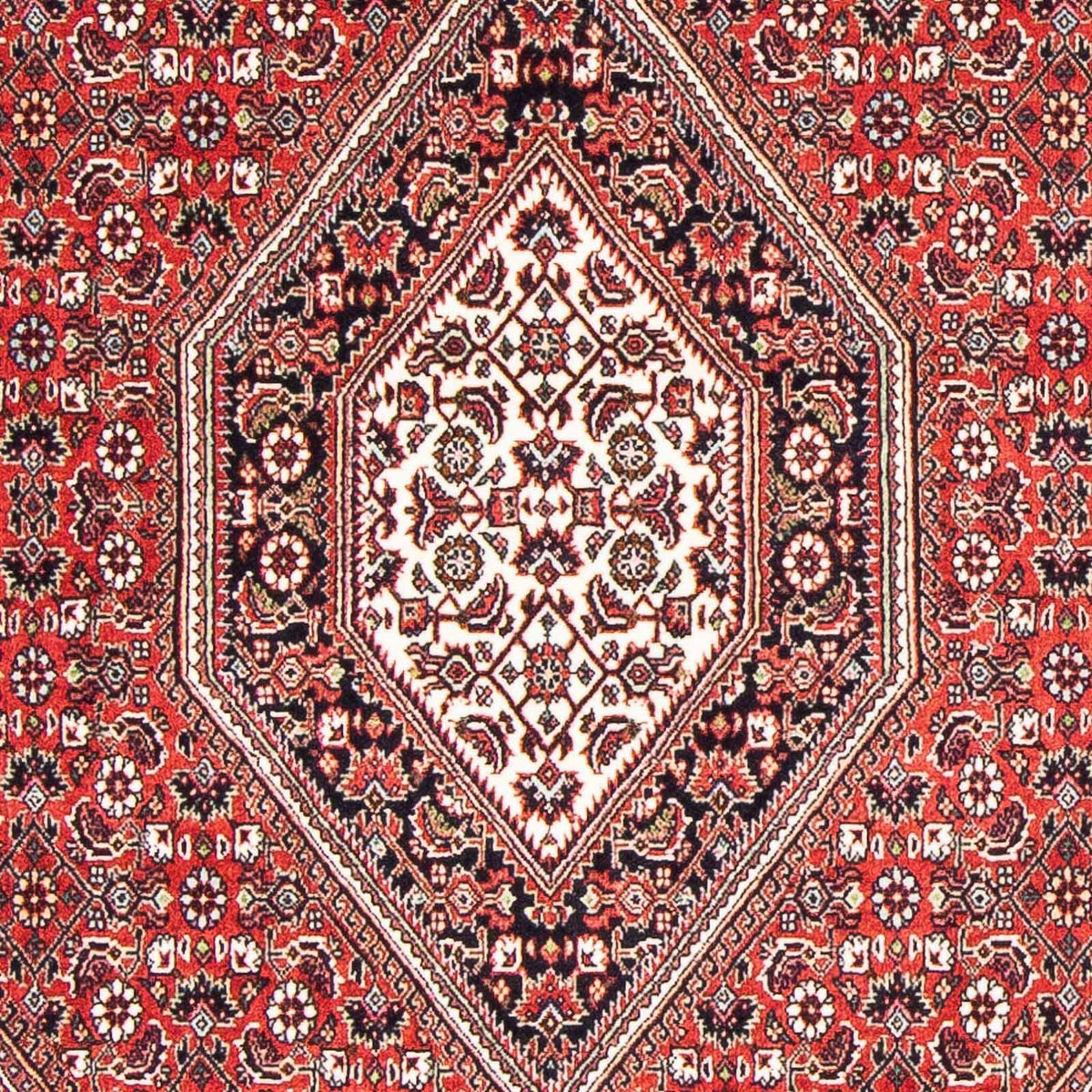 Tapis persan - Bidjar - 176 x 110 cm - rouge