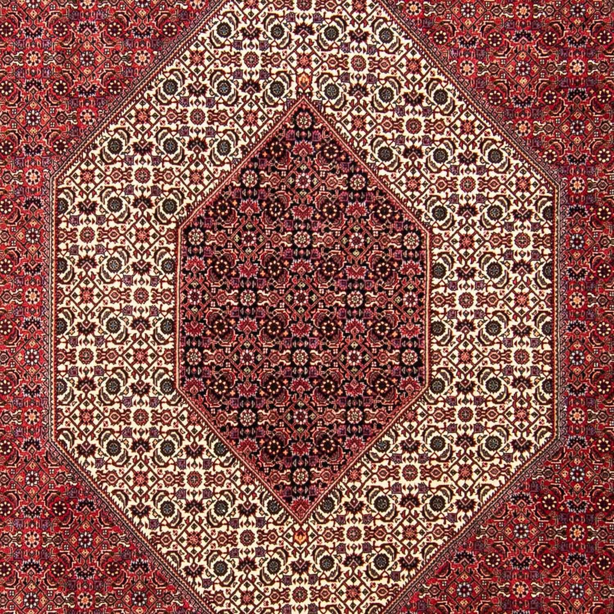 Tapis persan - Bidjar - 304 x 255 cm - rouge foncé
