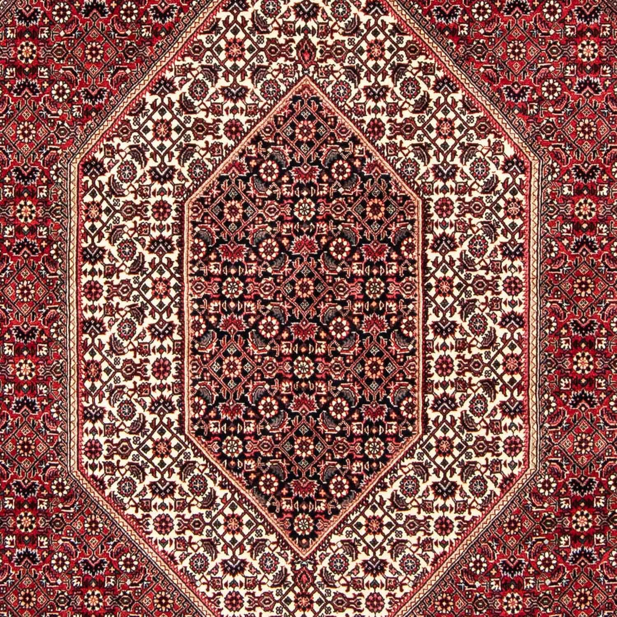 Tapis persan - Bidjar - 250 x 171 cm - rouge foncé