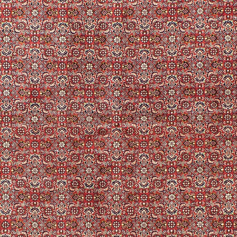 Tapis persan - Bidjar - 245 x 170 cm - rouge clair