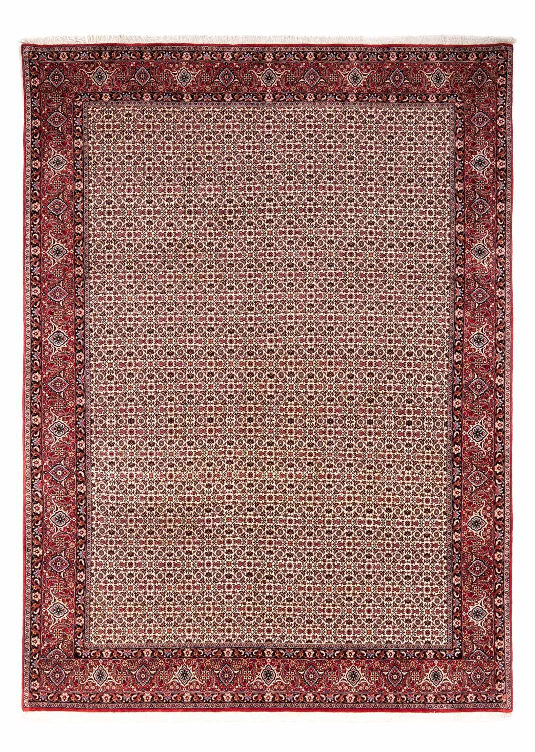 Tapis persan - Bidjar - 343 x 253 cm - beige