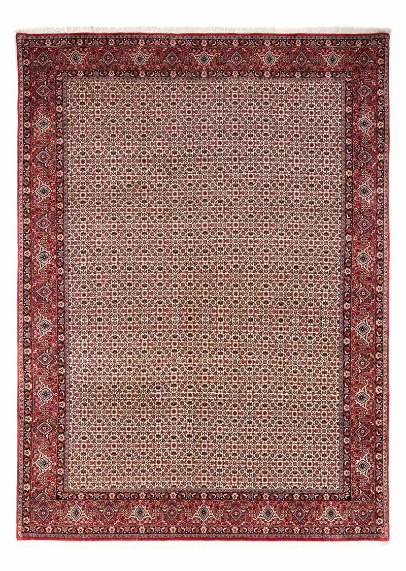Tapis persan - Bidjar - 343 x 253 cm - beige