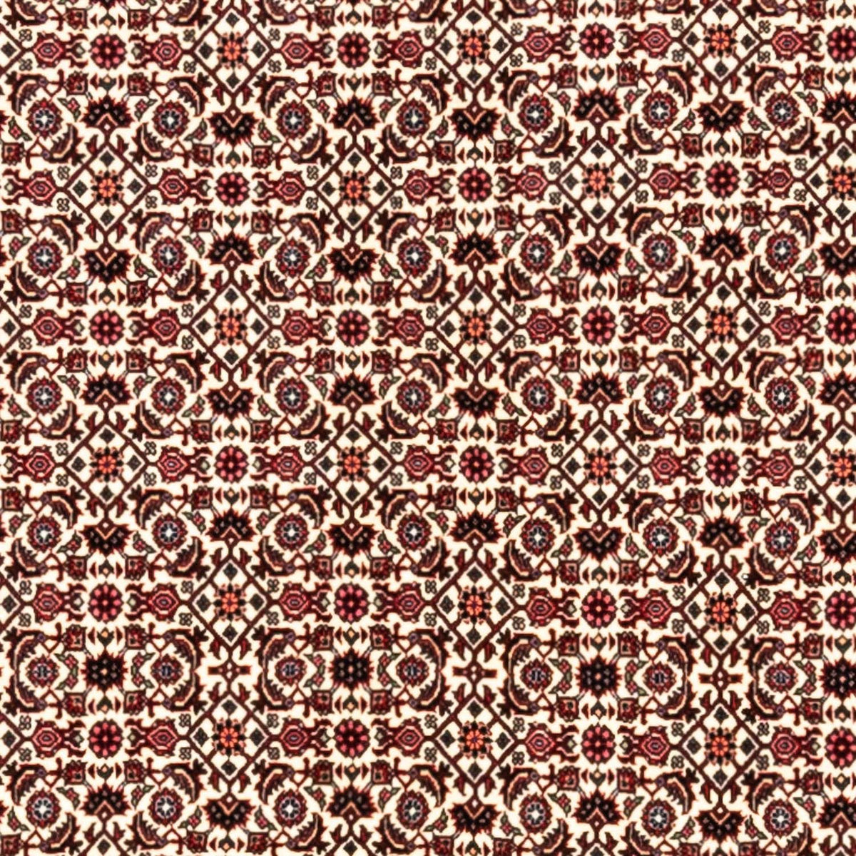 Tapis persan - Bidjar - 343 x 253 cm - beige