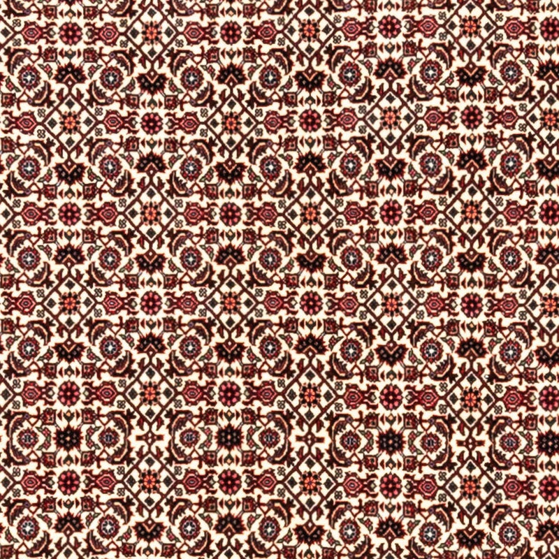 Tapis persan - Bidjar - 343 x 253 cm - beige