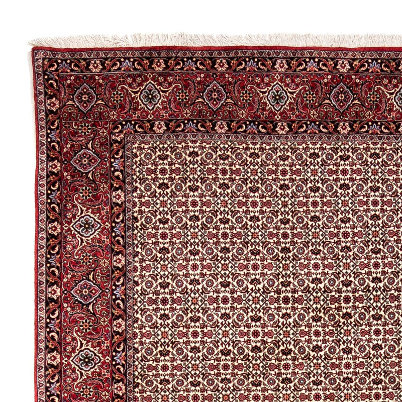 Tapis persan - Bidjar - 343 x 253 cm - beige