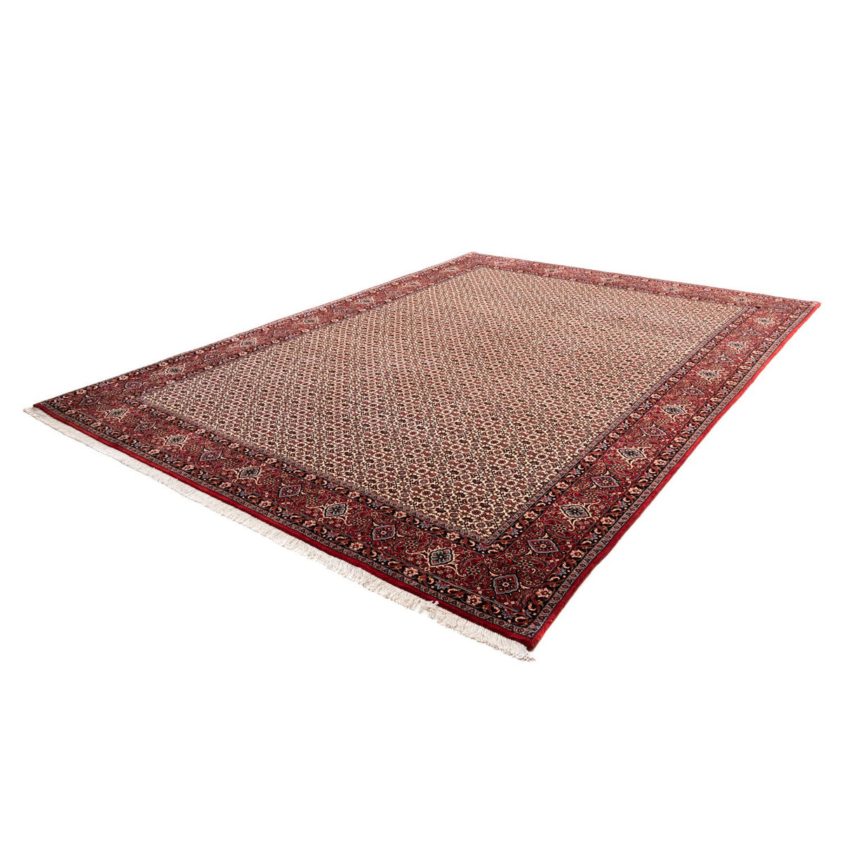 Tapis persan - Bidjar - 343 x 253 cm - beige