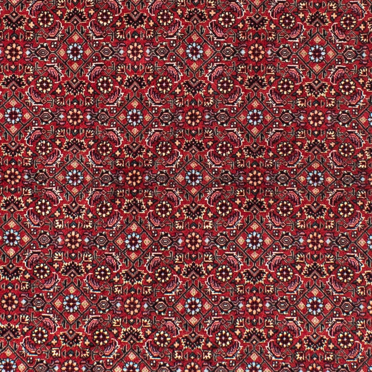 Tapis persan - Bidjar ronde  - 150 x 150 cm - rouge foncé