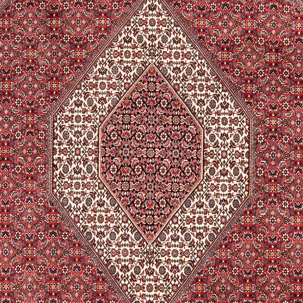Tapis persan - Bidjar - 305 x 253 cm - rouge foncé