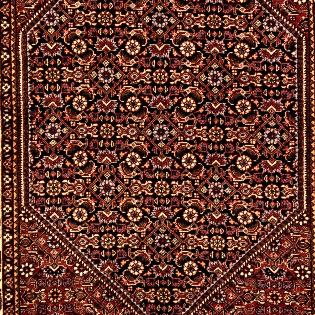 Tapis de couloir Tapis persan - Bidjar - 303 x 84 cm - multicolore