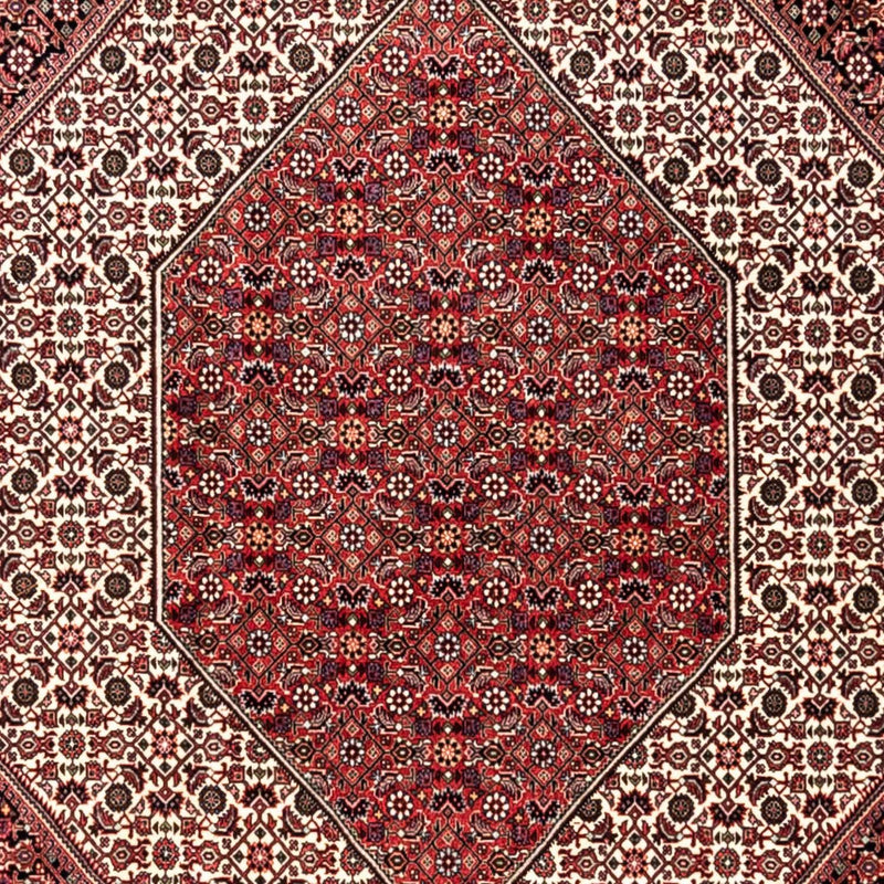Tapis persan - Bidjar - 353 x 250 cm - rouge