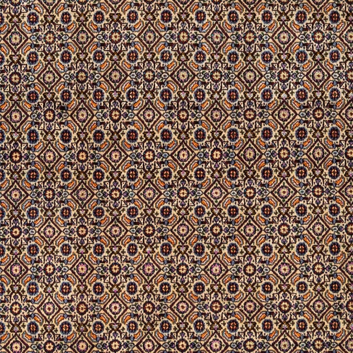 Tapis persan - Classique - 295 x 243 cm - marron clair