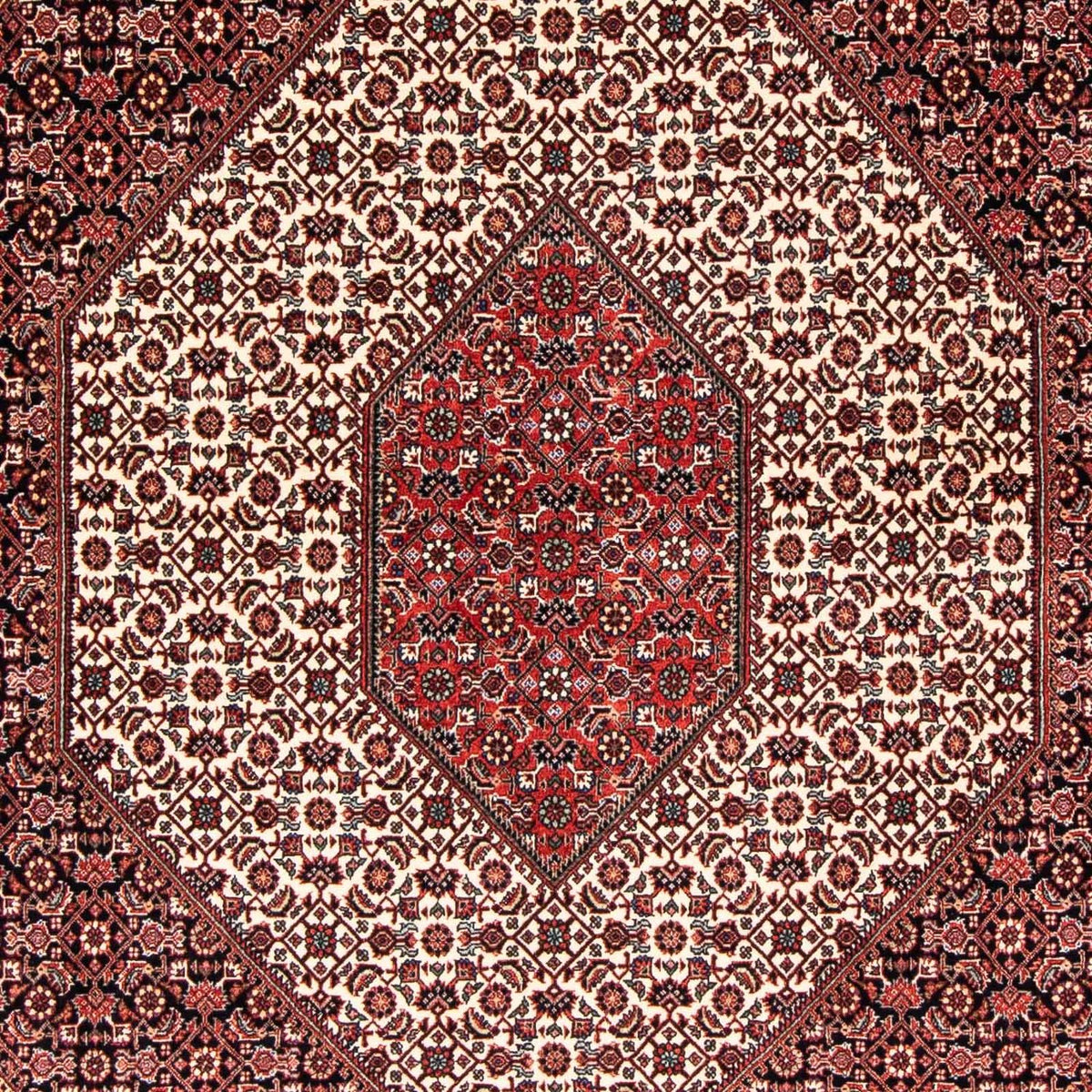 Tapis persan - Bidjar - 242 x 171 cm - rouge clair