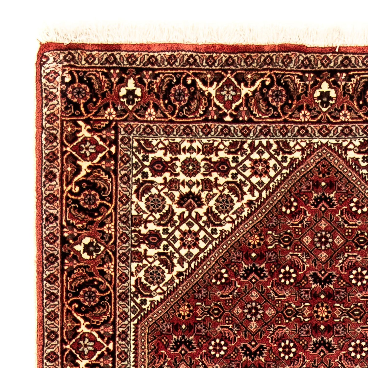 Tapis de couloir Tapis persan - Bidjar - 281 x 80 cm - multicolore