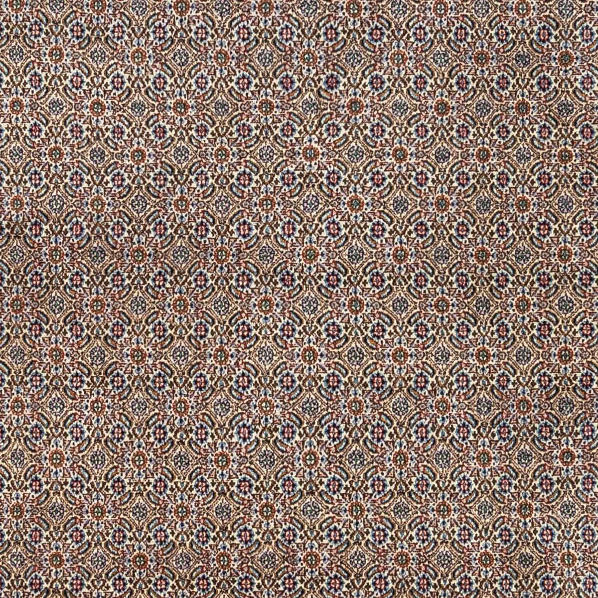 Tapis persan - Classique - 334 x 248 cm - beige