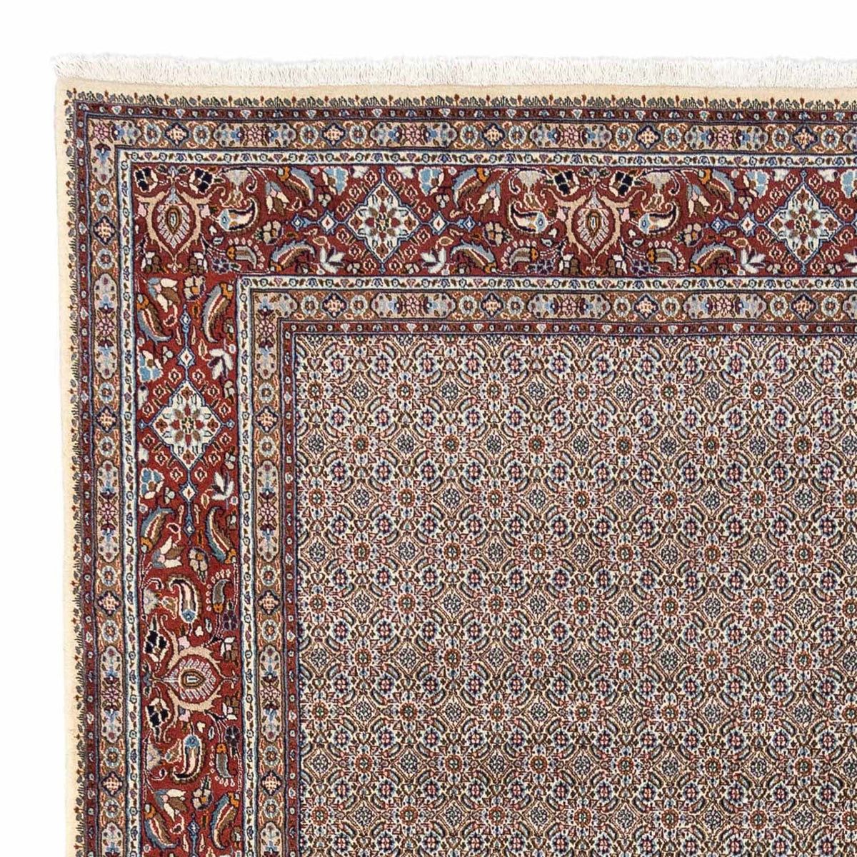 Tapis persan - Classique - 334 x 248 cm - beige