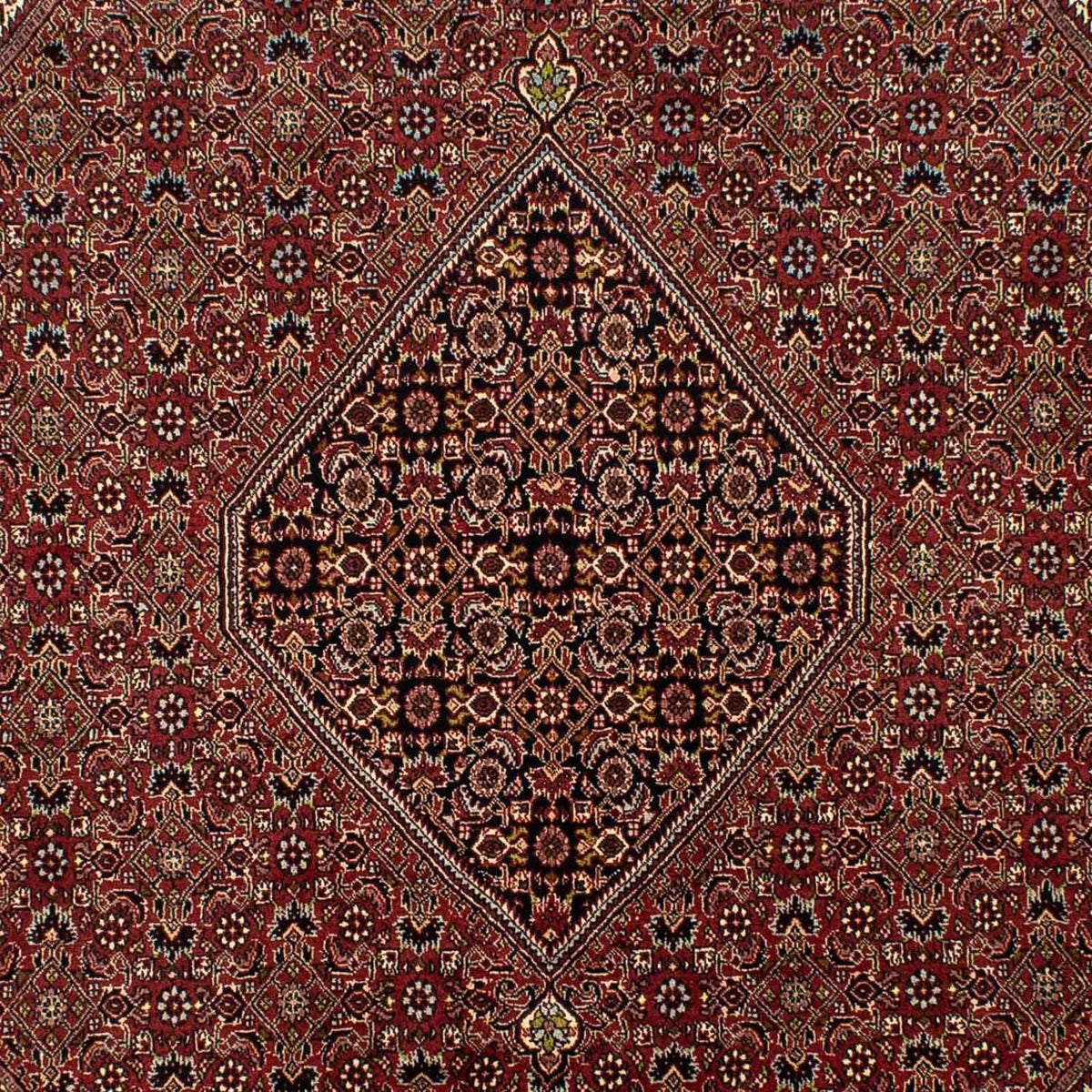 Tapis persan - Bidjar - 295 x 200 cm - marron