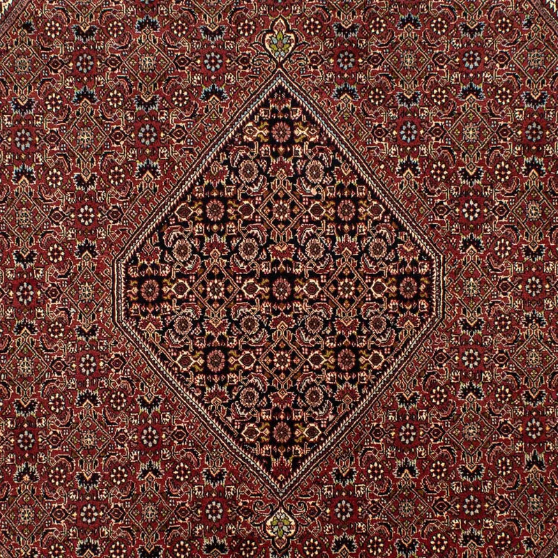 Tapis persan - Bidjar - 295 x 200 cm - marron