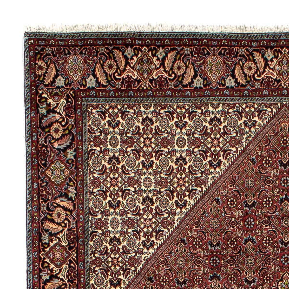 Tapis persan - Bidjar - 295 x 200 cm - marron