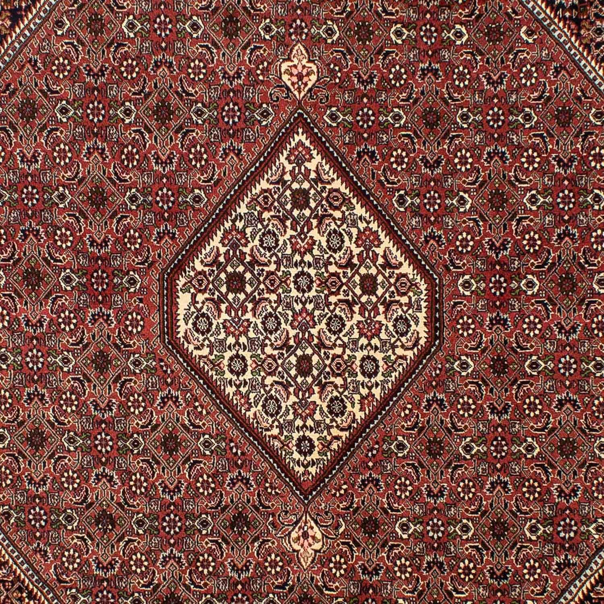 Tapis persan - Bidjar - 298 x 200 cm - marron