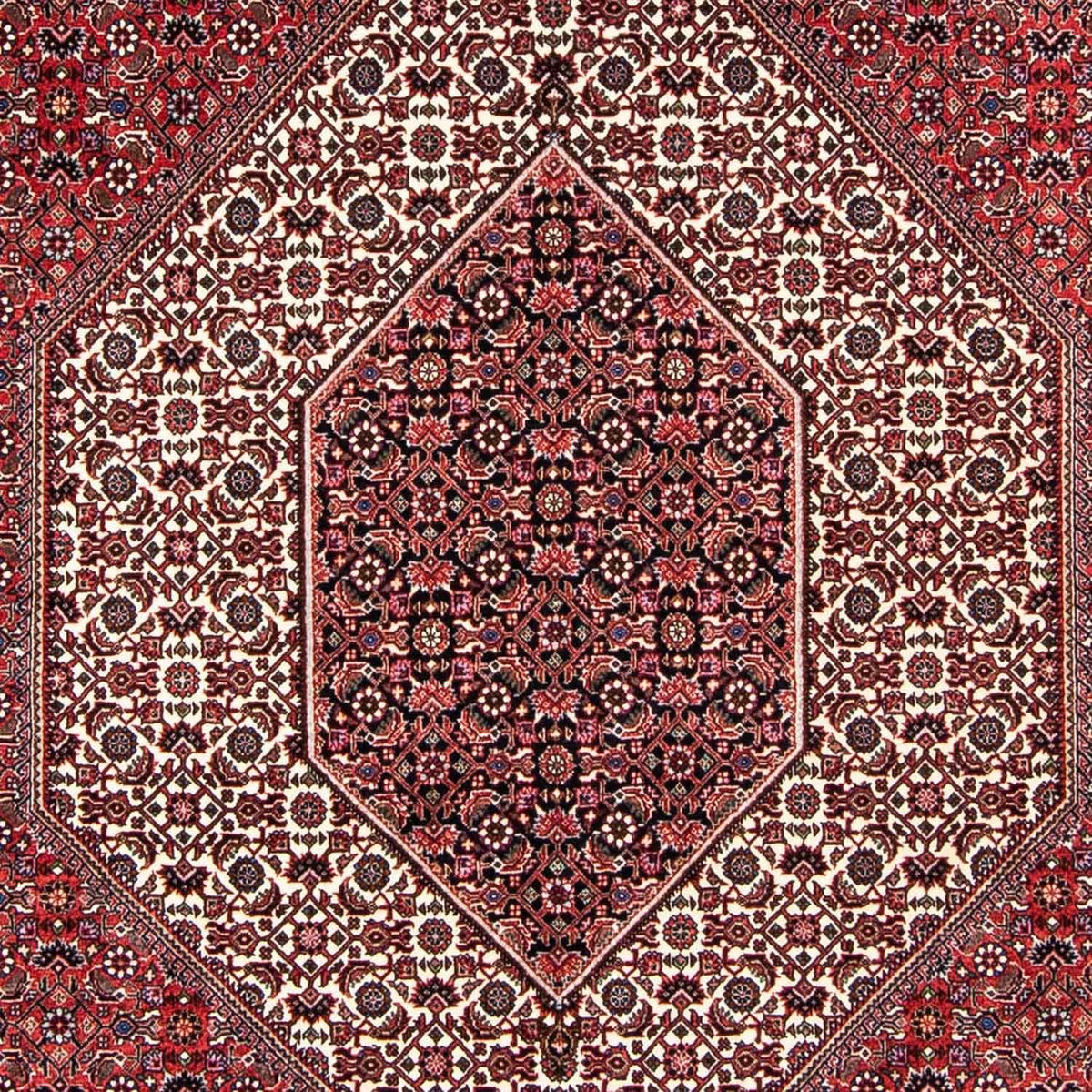 Tapis persan - Bidjar - 237 x 172 cm - rouge clair