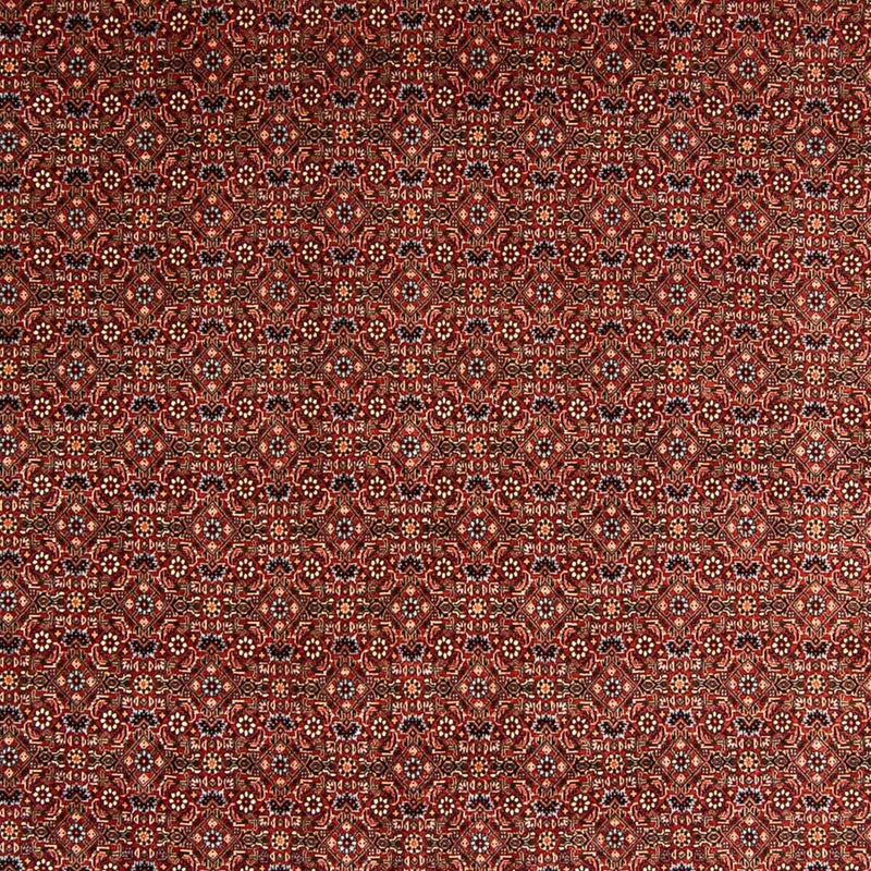 Tapis persan - Bidjar - 340 x 254 cm - rouge foncé