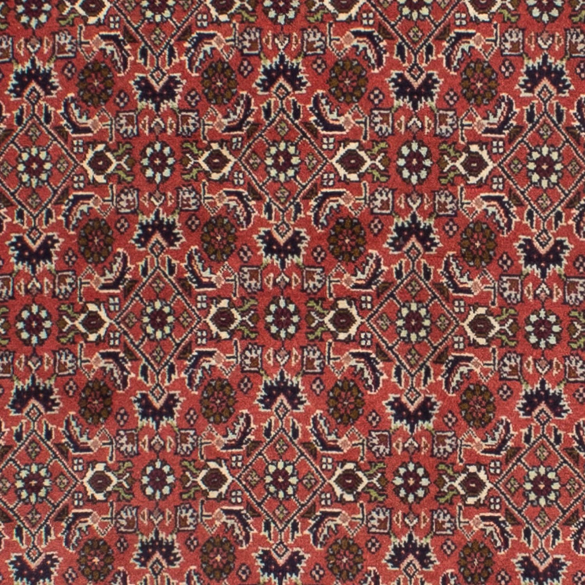 Tapis de couloir Tapis persan - Bidjar - 291 x 84 cm - rouge foncé