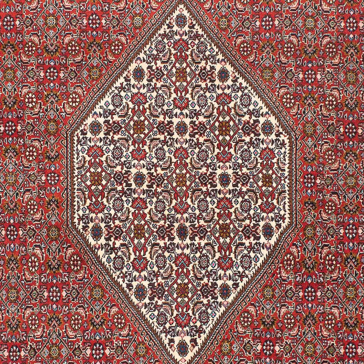 Tapis persan - Bidjar - 225 x 136 cm - rouge
