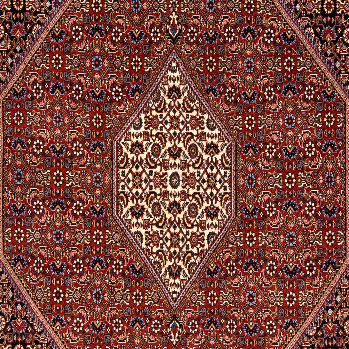 Tapis persan - Bidjar - 241 x 170 cm - rouge foncé