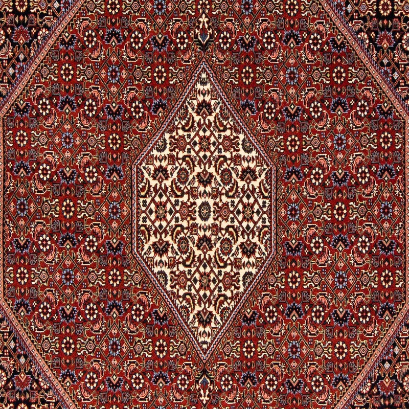 Tapis persan - Bidjar - 241 x 170 cm - rouge foncé