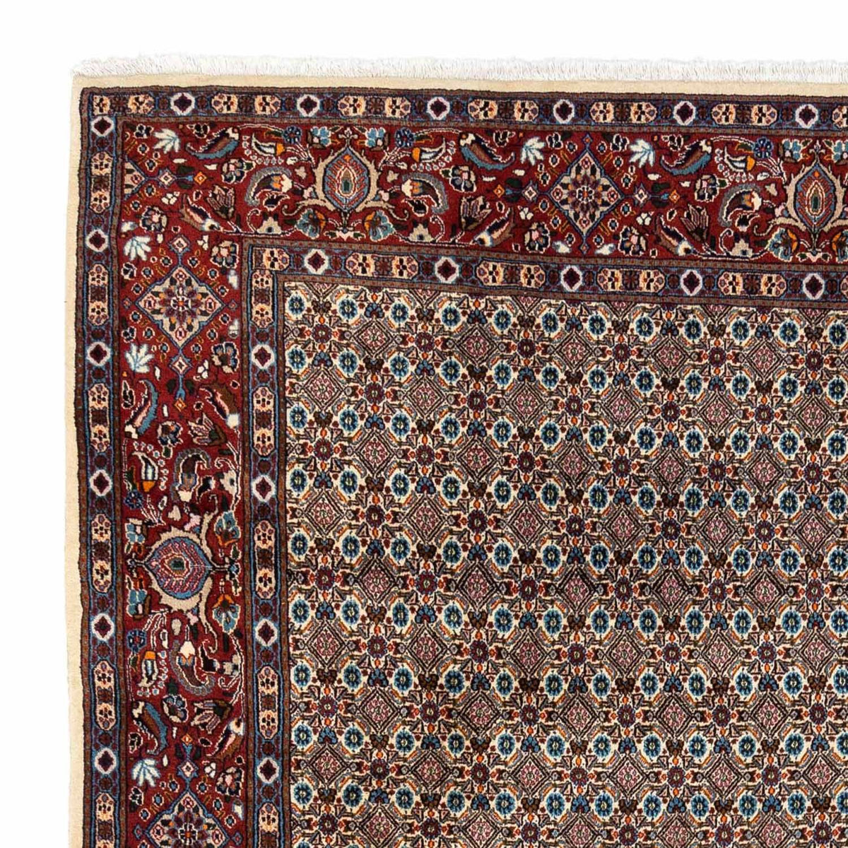 Tapis persan - Classique - 360 x 258 cm - beige