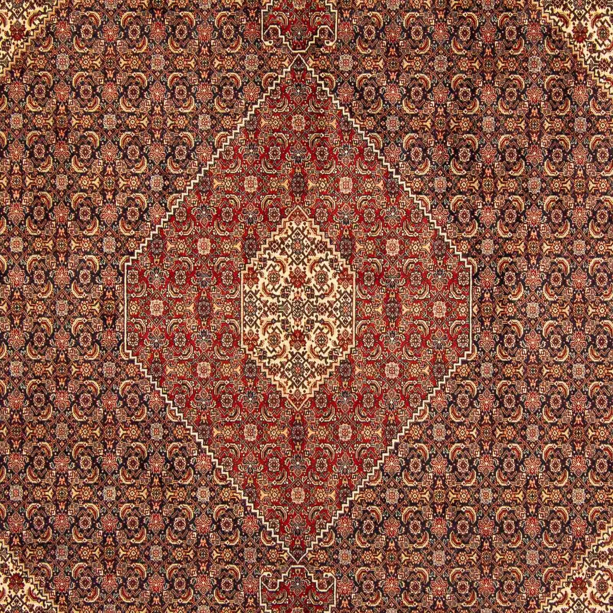 Tapis persan - Tabriz - 395 x 300 cm - marron