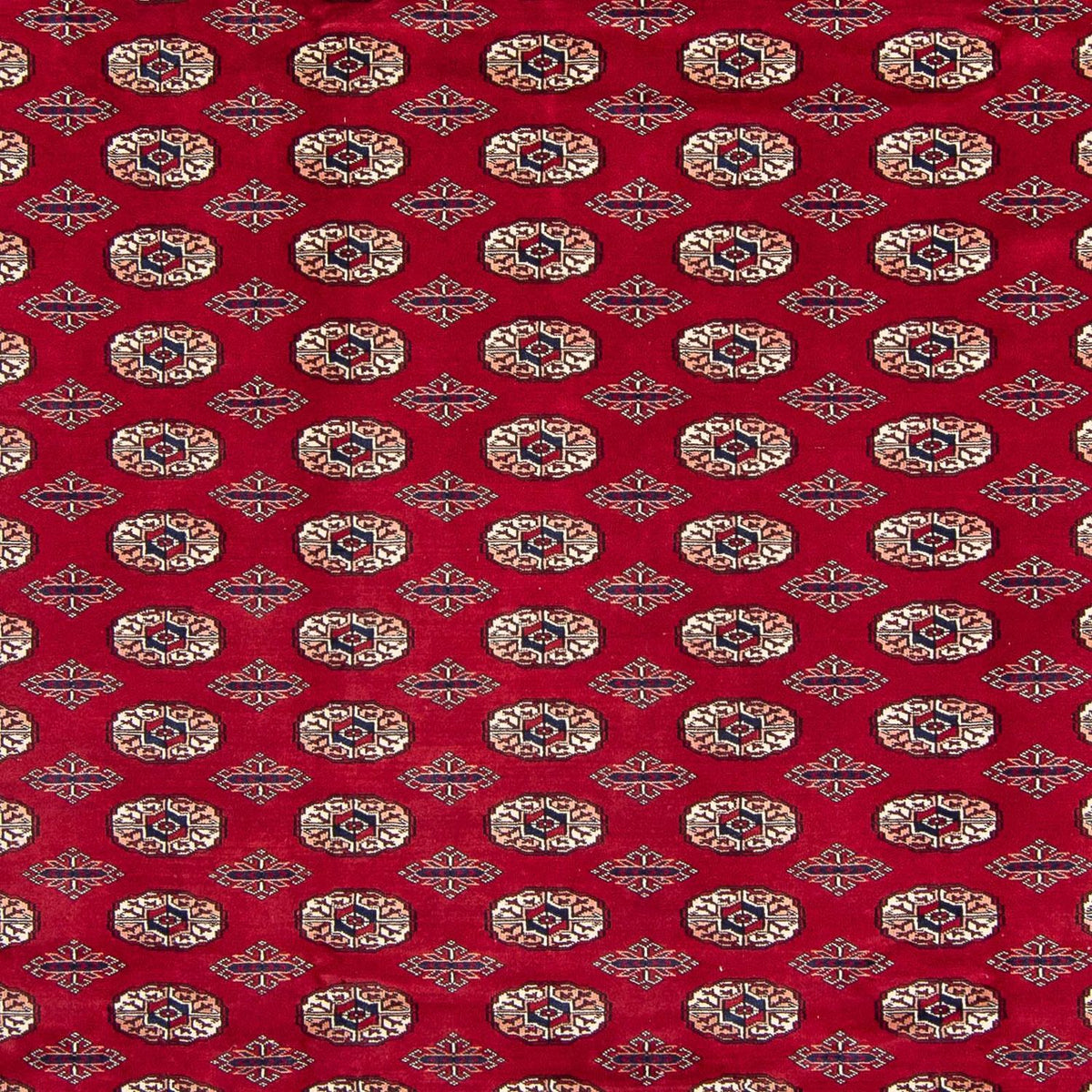 Tapis afghan - Boukhara - 303 x 253 cm - rouge