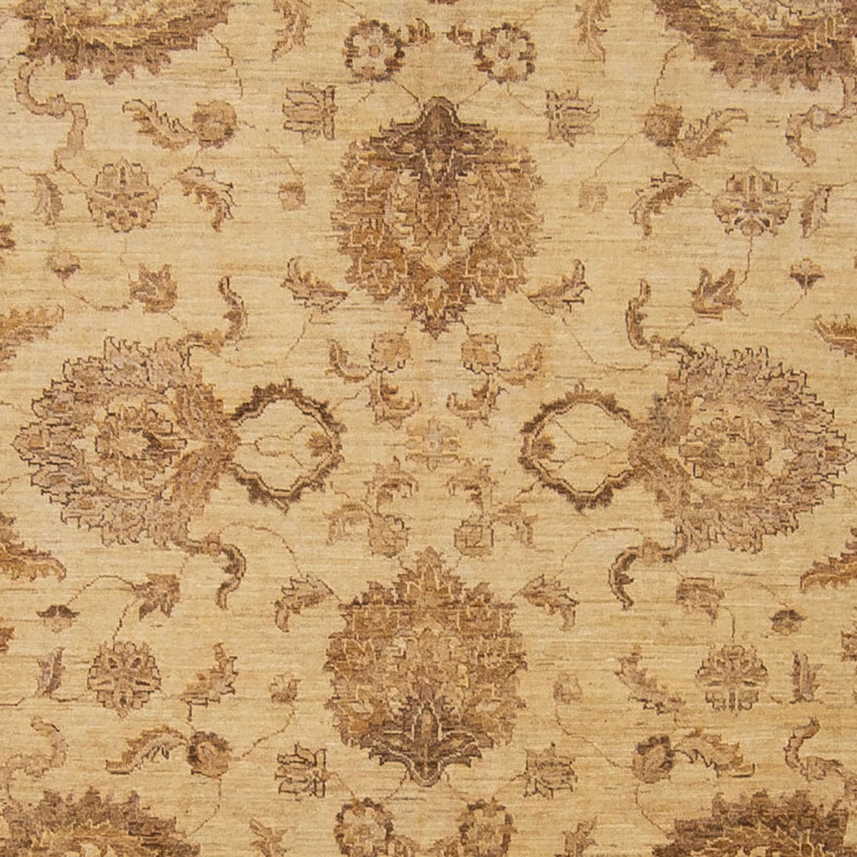 Tapis Ziegler - 296 x 238 cm - marron clair