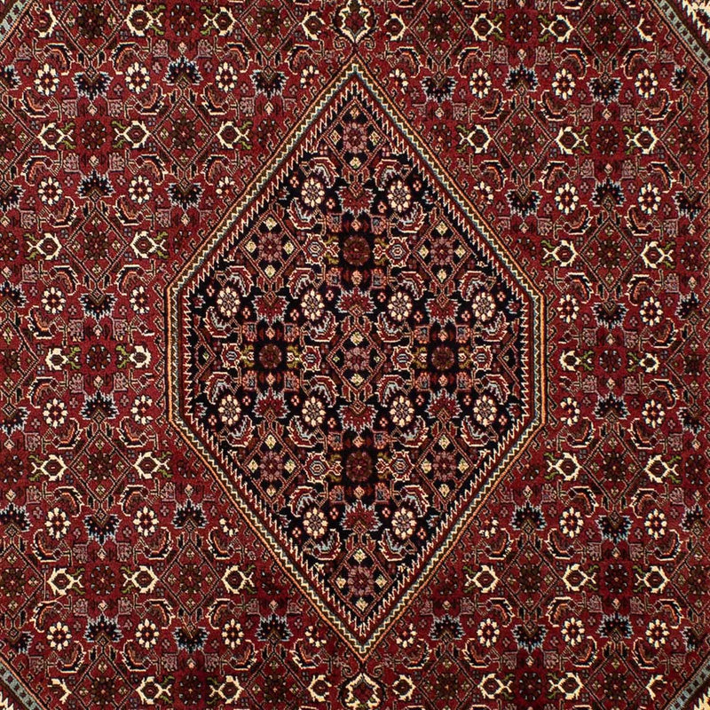 Tapis persan - Bidjar - 298 x 199 cm - marron