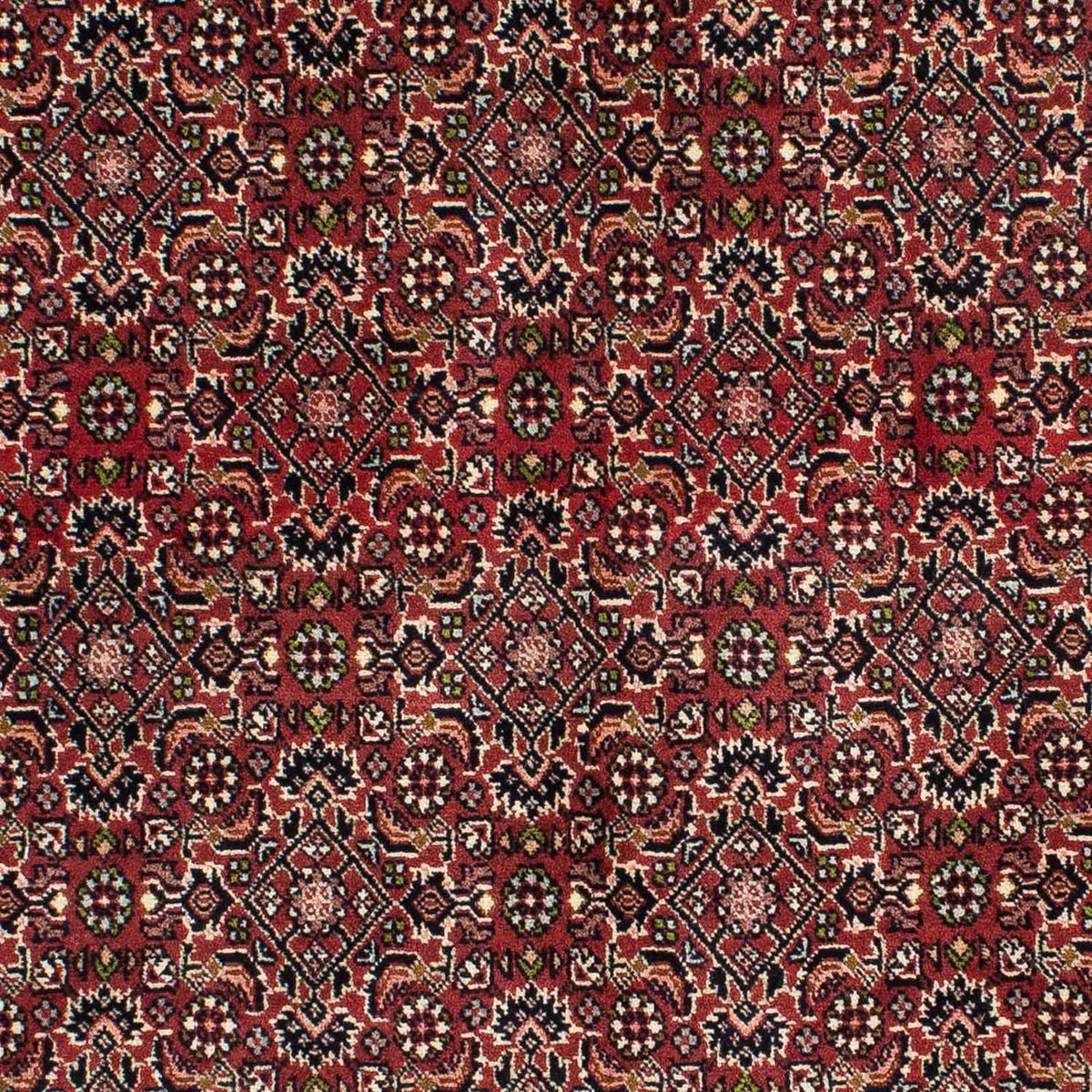Tapis persan - Bidjar - 208 x 139 cm - rouge